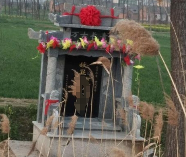 è‹å·žè¿åŸä¸‹è‘¬