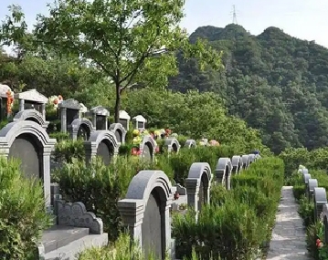 è‹å·žè¿åŸä¸‹è‘¬