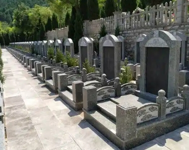 è‹å·žè¿åŸä¸‹è‘¬